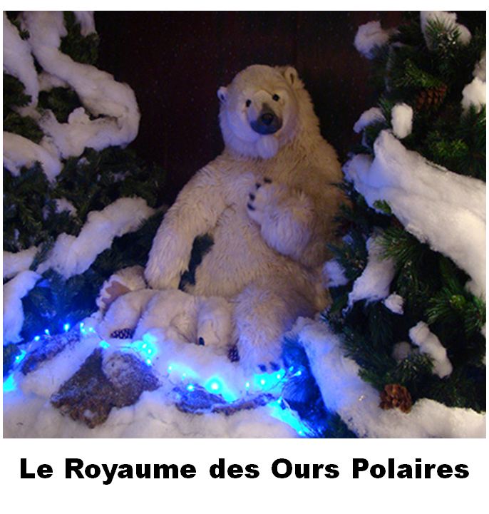 Location Décors de Noël - Le Royaume des Ours Polaires