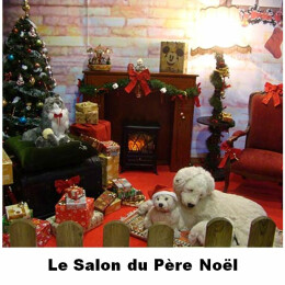 Le Salon du Père Noël