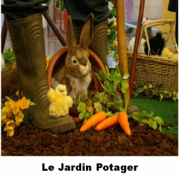 Le Jardin potager des lapins